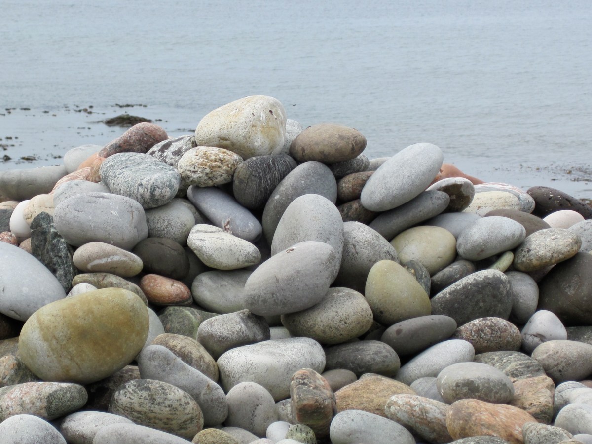 My Homily about Ferguson From&nbsp;11/30/14