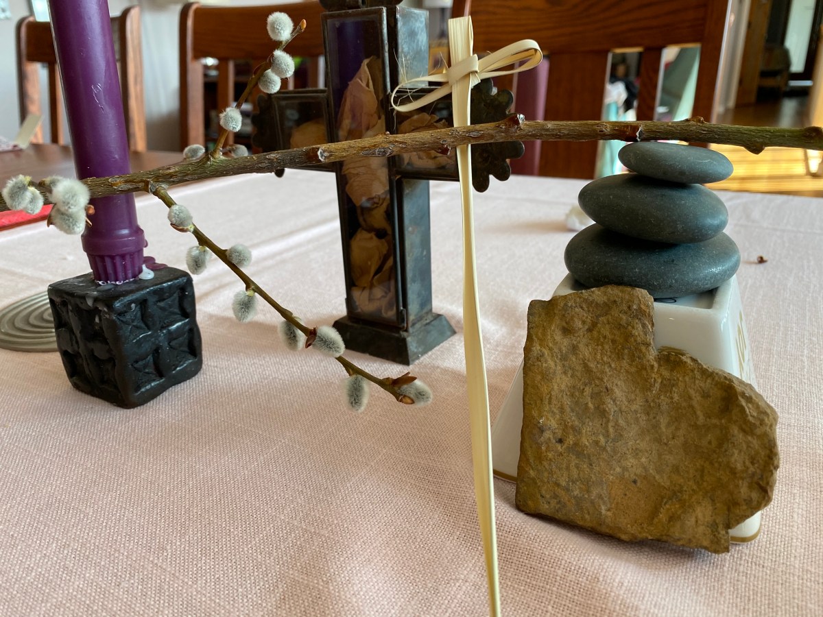 Palm Sunday Reflection